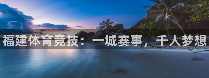 雨燕360体育nba直播免费