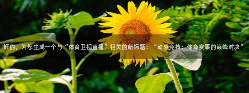 360直播网最用心的体育比赛：好的，为您生成一个与“体育卫视直播”相关的新标题：“动感竞技：体育赛事的巅峰对决”