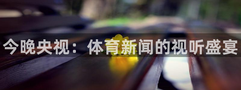 360无插件体育直播手机版：今晚央视：体育新闻的视听盛宴