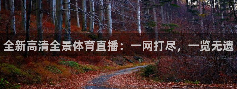 直播360体育直播在线观看：全新高清全景体育直播：一网打尽，一览无遗