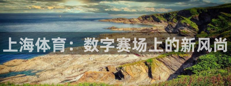 360直播nba赛事：上海体育：数字赛场上的新风尚