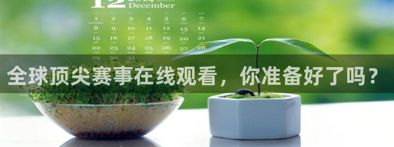 龙珠足球直播360直播：全球顶尖赛事在线观看，你准备好了吗？