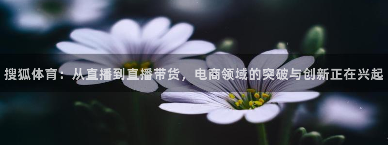 360体育直播最用心的直播：搜狐体育：从直播到直播带货，电商领域的突破与创新正在兴起