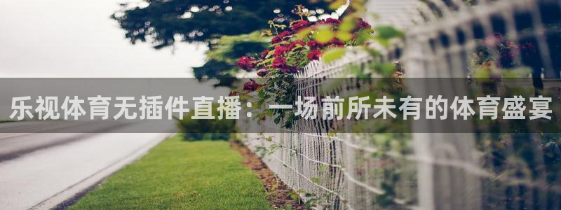 360体育直播免费观看：乐视体育无插件直播：一场前所未有的体育盛宴